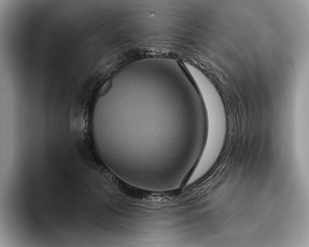 X0000094170608200711091125