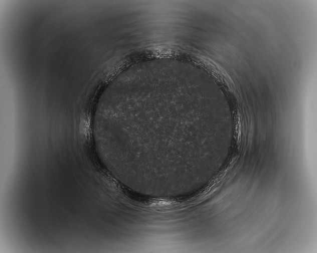 X0000094170610200711091125