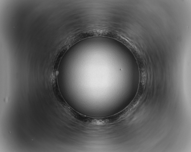 X0000094170613200711091125