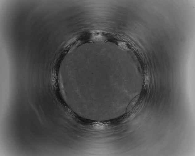 X0000094170616200711091125