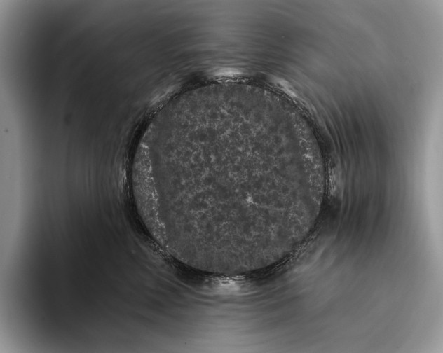 X0000094170618200711091125