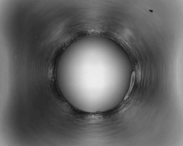 X0000094170619200711091125