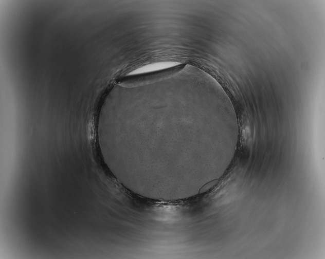 X0000094170620200711091125