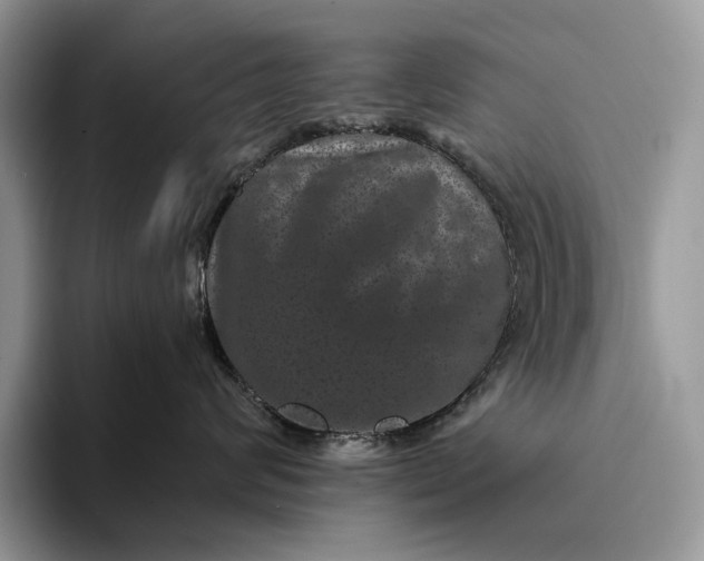 X0000094170624200711091125