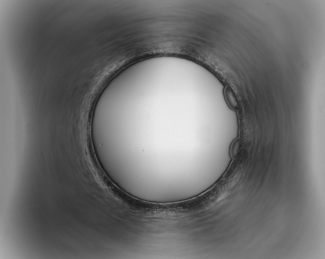 X0000094170625200711091125