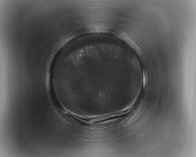 X0000094170627200711091125