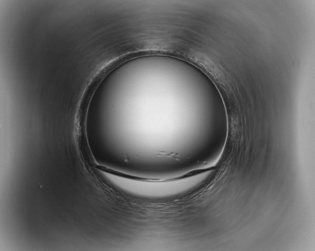X0000094170628200711091125