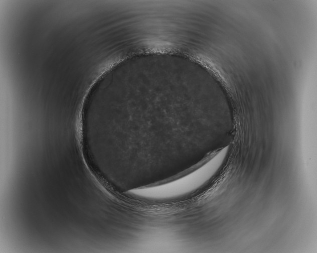 X0000094170630200711091125