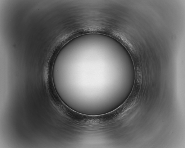 X0000094170631200711091125