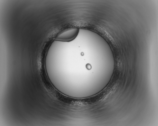 X0000094170635200711091125