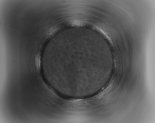 X0000094170637200711091125