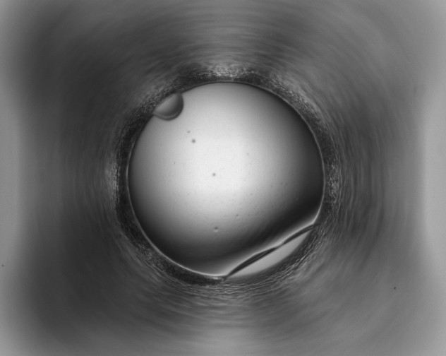 X0000094170639200711091125