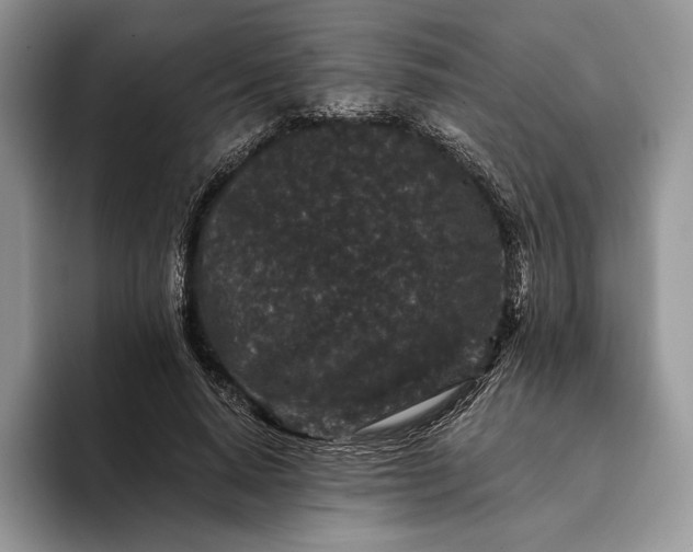 X0000094170640200711091125