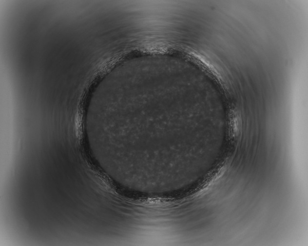 X0000094170641200711091125