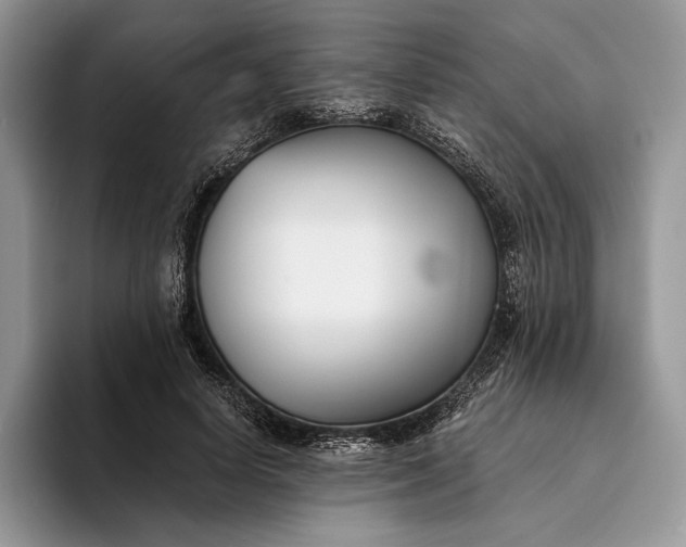 X0000094170642200711091125