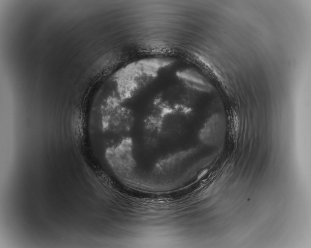 X0000094170643200711091125