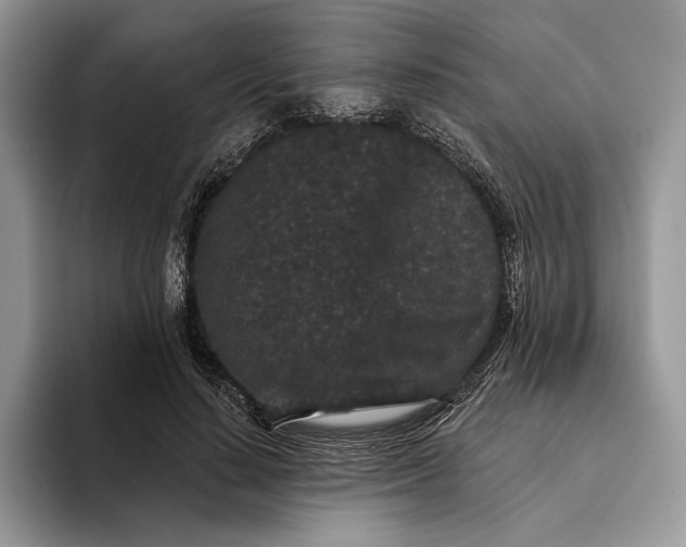 X0000094170644200711091125