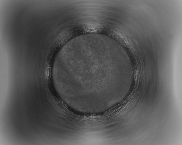 X0000094170647200711091125