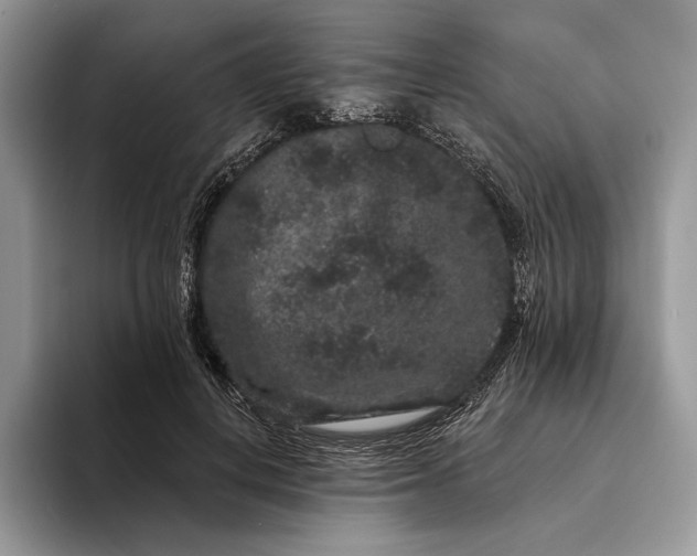 X0000094170648200711091125