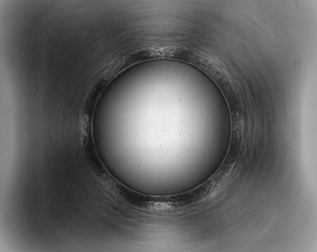 X0000094170649200711091125
