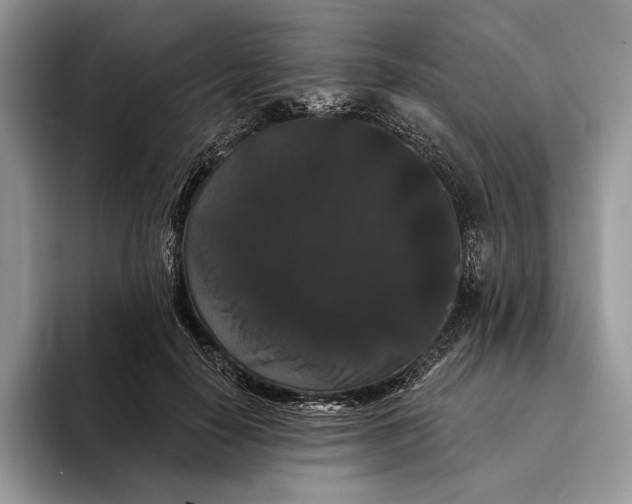 X0000094170650200711091125