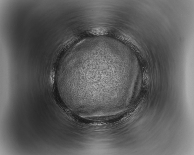 X0000094170652200711091125