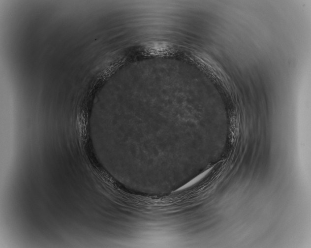 X0000094170653200711091125