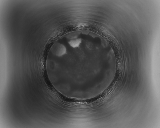 X0000094170654200711091125