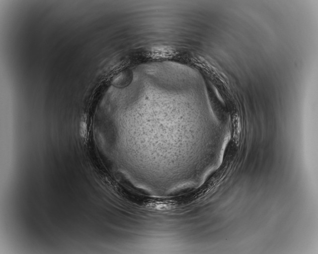 X0000094170655200711091125
