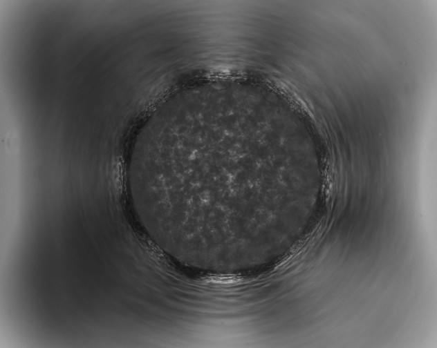 X0000094170659200711091125
