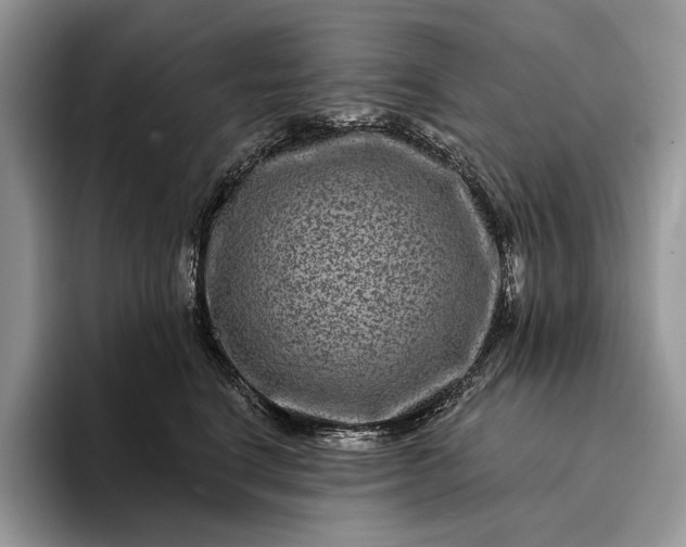 X0000094170664200711091125