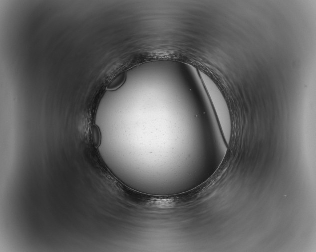 X0000094170665200711091125