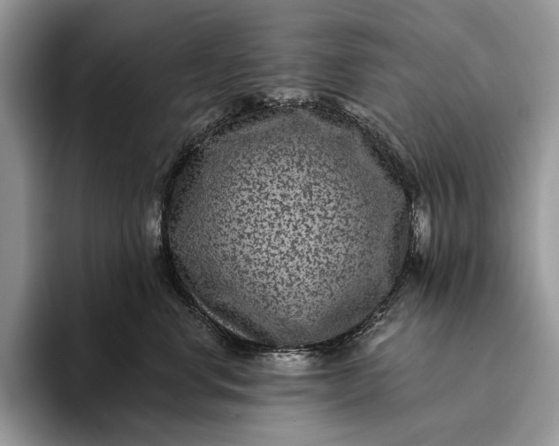 X0000094170668200711091125