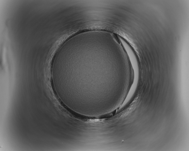 X0000094170673200711091125