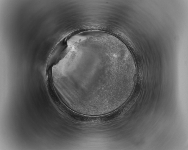 X0000094170674200711091125