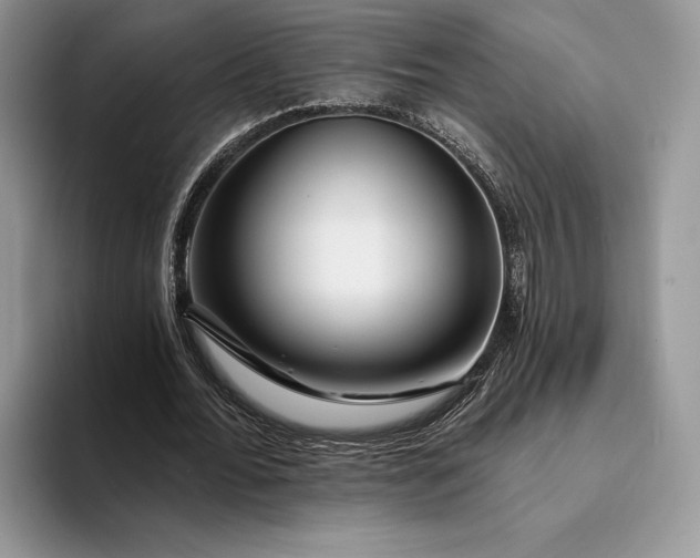 X0000094170676200711091125