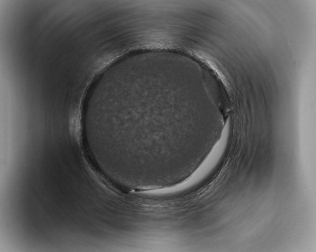 X0000094170677200711091125