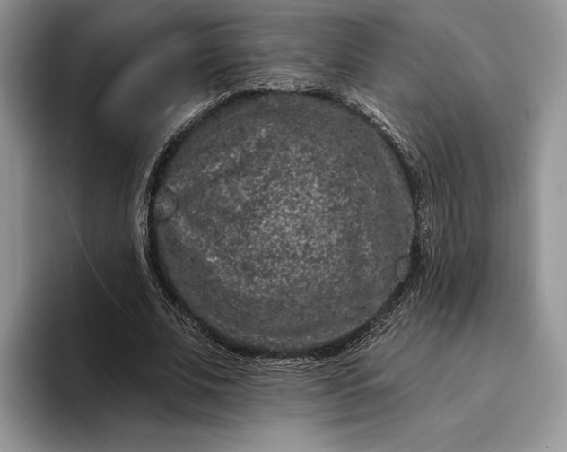 X0000094170679200711091125