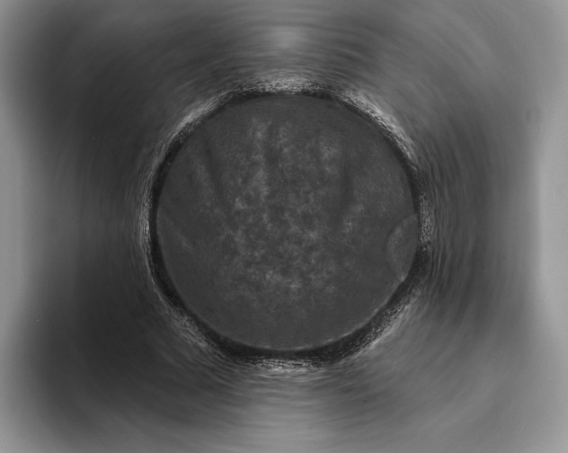 X0000094170681200711091124