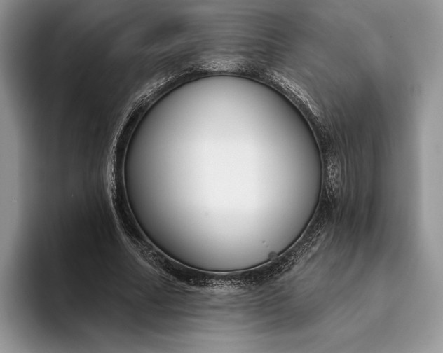 X0000094170682200711091124