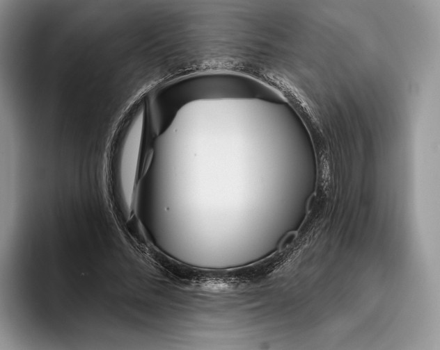 X0000094170684200711091124