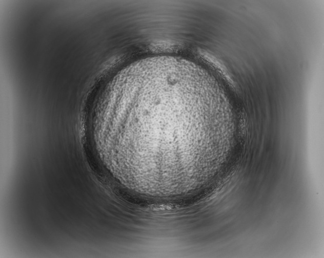 X0000094170687200711091124