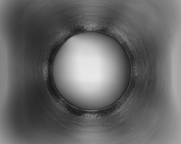 X0000094170690200711091124