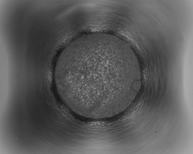 X0000094170691200711091124