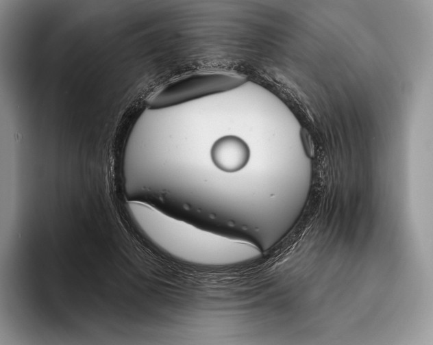 X0000094170693200711091124