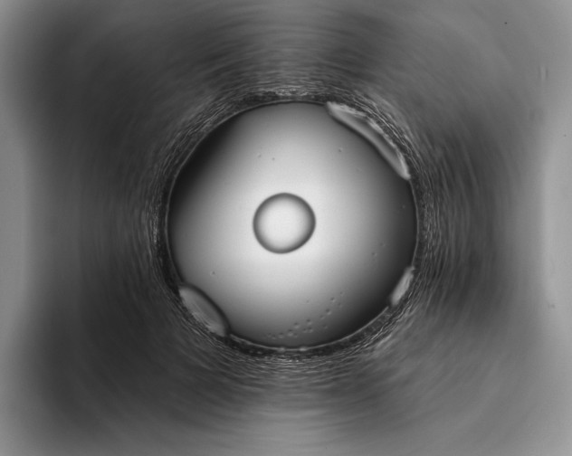 X0000094170697200711091124