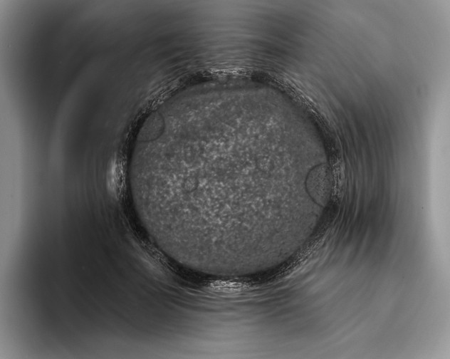X0000094170699200711091124