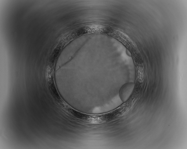 X0000094170701200711091124