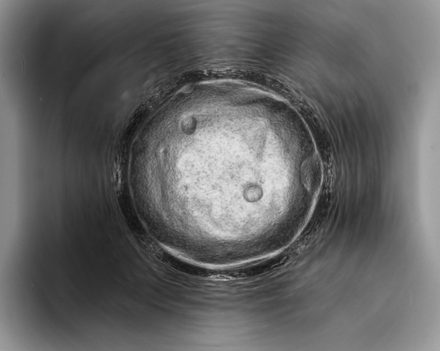 X0000094170703200711091124