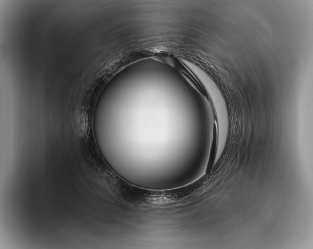X0000094170704200711091124